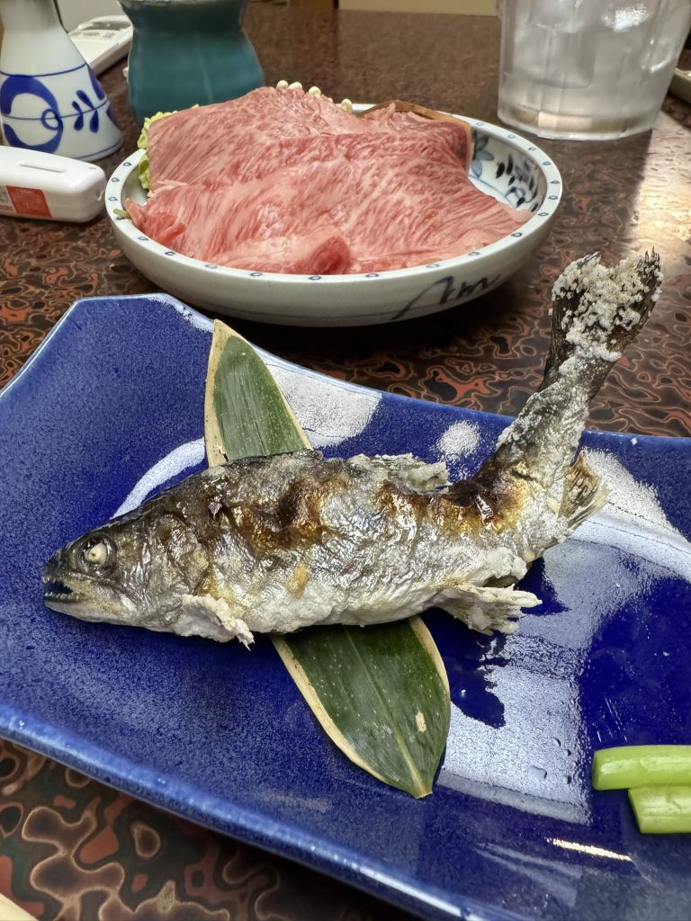 Day 9 in Japan: The day I cheated (twice), fought a mountain, and got betrayed by my own bladder