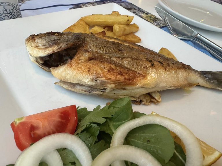 DAY ONE IN DALYAN: NEAR-DEATH LANDINGS, GIANT COCKS, AND THE HEALING POWER OF RAKI