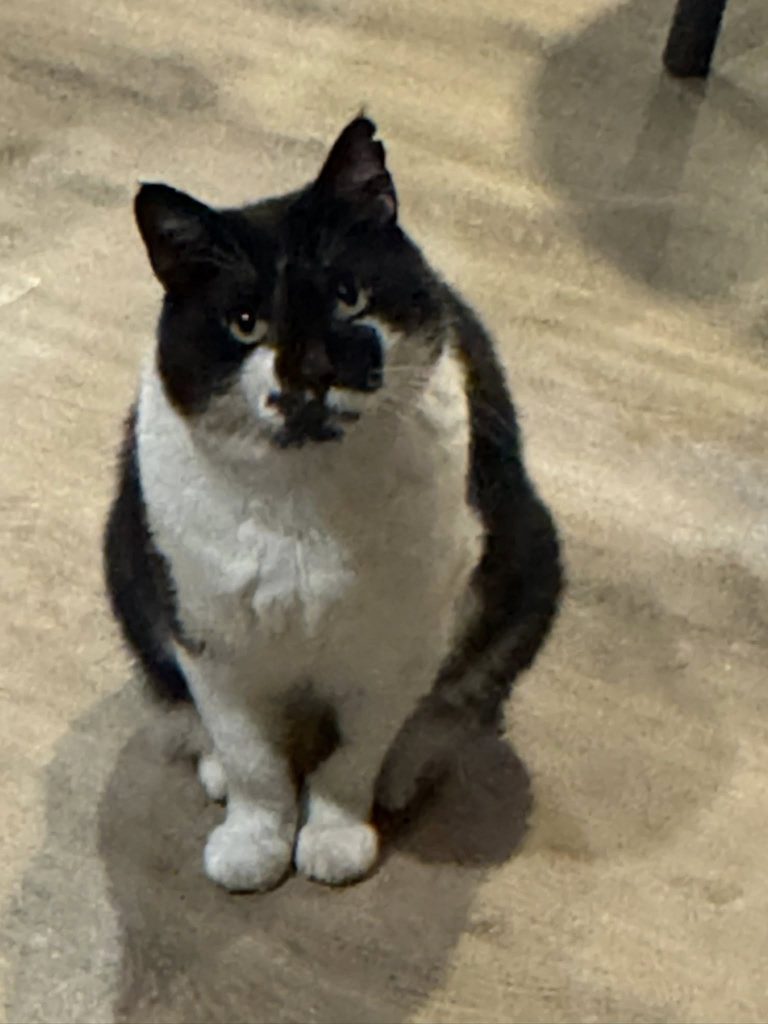 Day 4 in Dalyan: Poolside philosophy, kebab envy, and the art of doing absolutely nothing